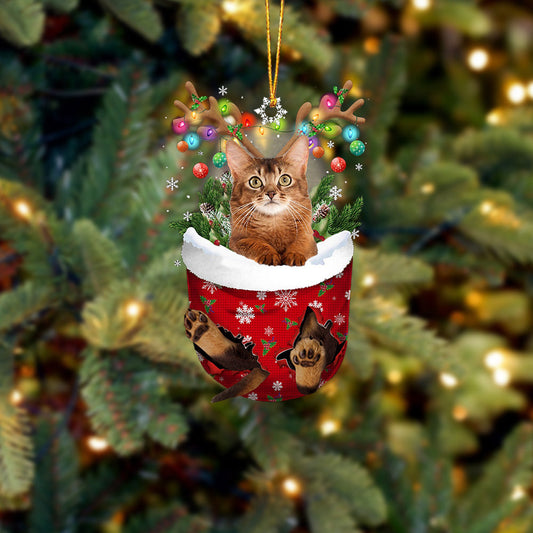 Cat 19 In Snow Pocket Christmas Ornament - Best gifts your whole family