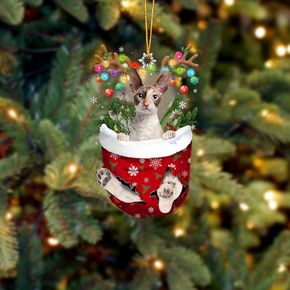 Cat 2 In Snow Pocket Christmas Ornament - Best gifts your whole family