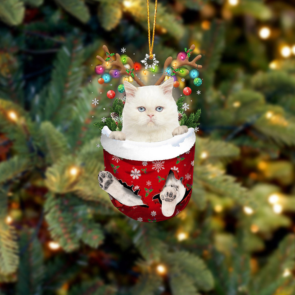 Cat 23 In Snow Pocket Christmas Ornament - Best gifts your whole family