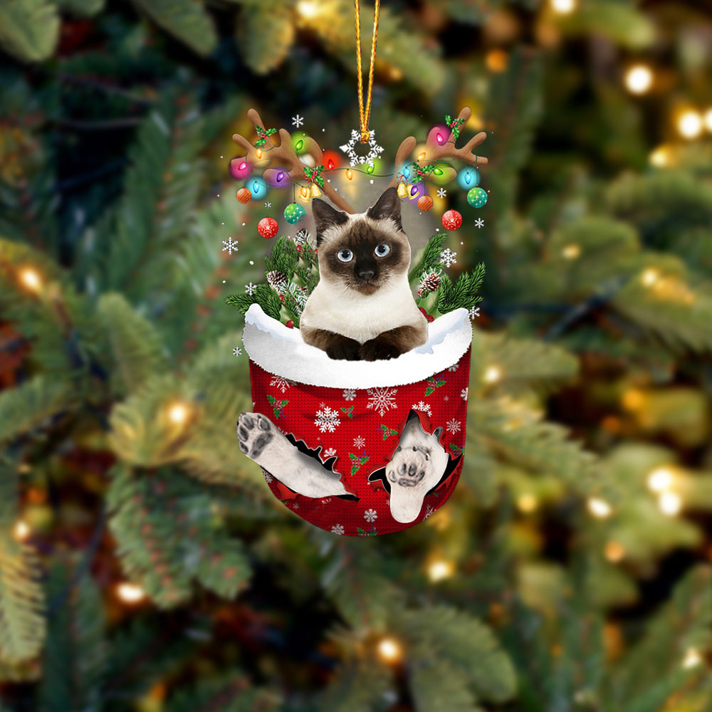 Cat 25 In Snow Pocket Christmas Ornament - Best gifts your whole family