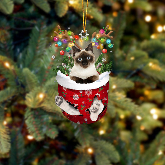 Cat 25 In Snow Pocket Christmas Ornament - Best gifts your whole family