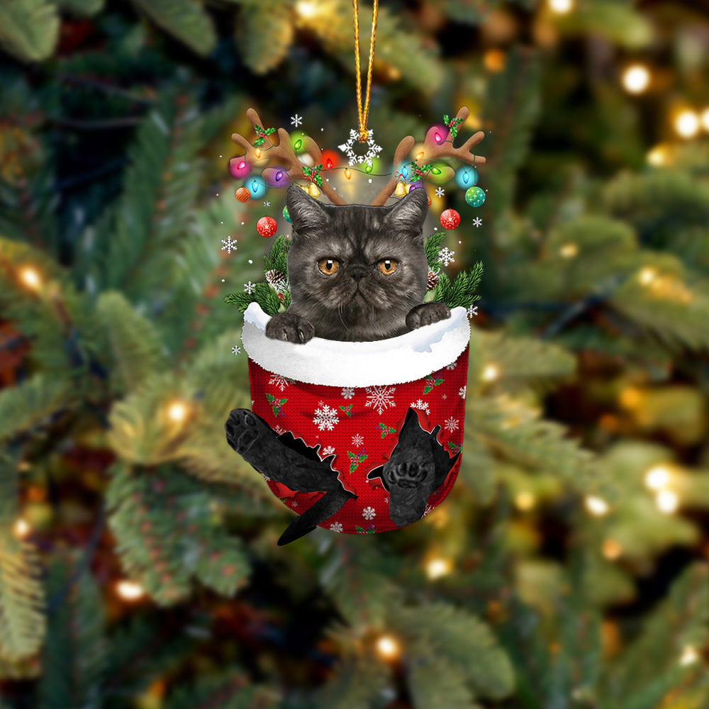 Cat 28 In Snow Pocket Christmas Ornament - Best gifts your whole family