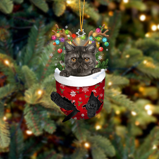 Cat 28 In Snow Pocket Christmas Ornament - Best gifts your whole family