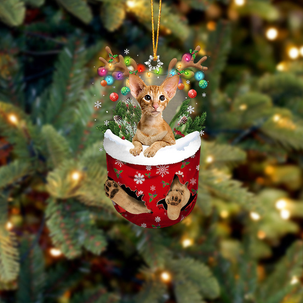Cat 42 In Snow Pocket Christmas Ornament - Best gifts your whole family