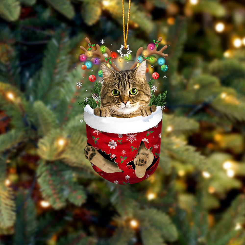 Cat 43 In Snow Pocket Christmas Ornament - Best gifts your whole family