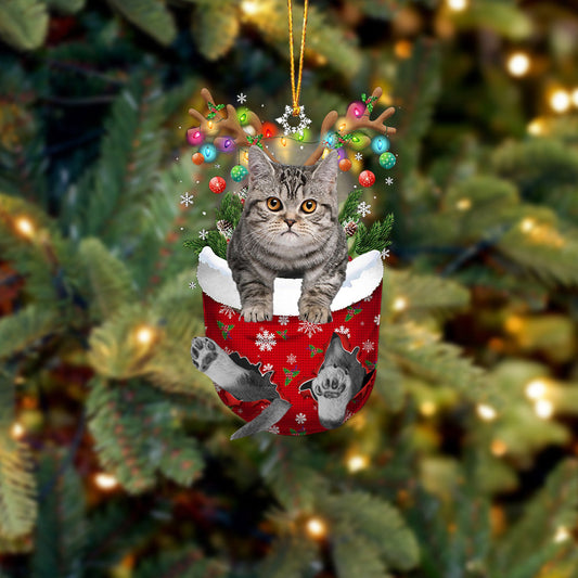 Cat 9 In Snow Pocket Christmas Ornament - Best gifts your whole family