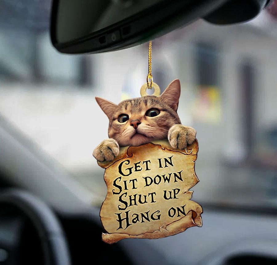 Cat Get In Cat Lover Two Sided Ornament, Funny Cat Ornaments - Best gifts your whole family