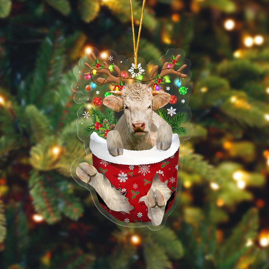 Charolais In Pocket Acrylic Ornament, Farm Christmas Ornament - Best gifts your whole family