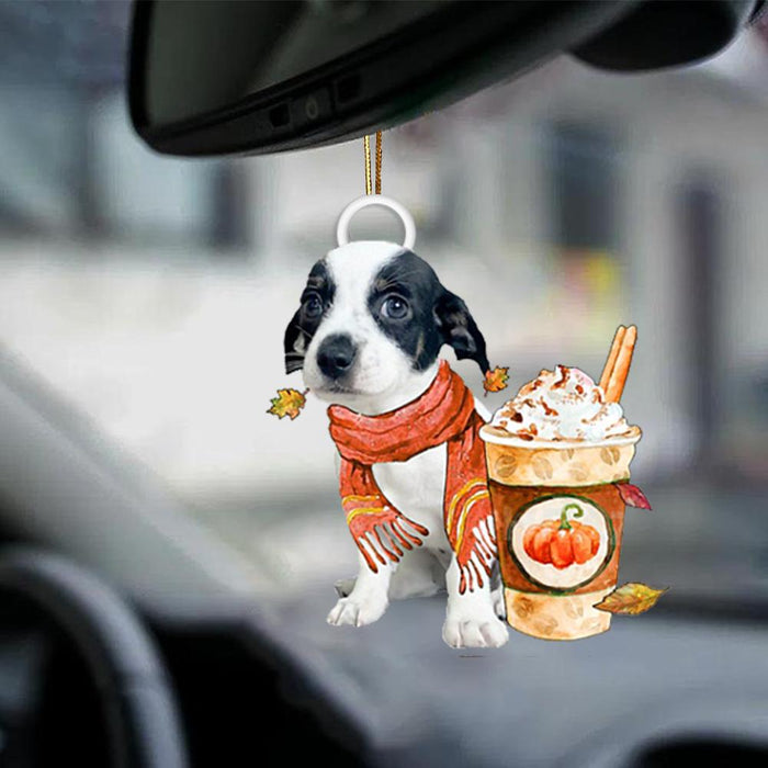 Chiweenie 3-Pumpkin Spice Kinda-Two Sided Ornament - Best gifts your whole family