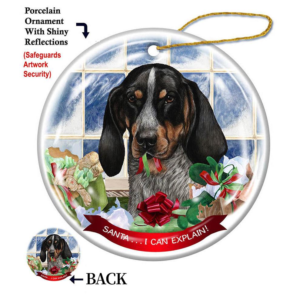Coonhound Blue Tick Porcelain Hanging Ornament - Best gifts your whole family