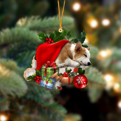 Corgi-Sleeping In Hat Two Sides Ornament Dog Sleeping Ornament - Best gifts your whole family