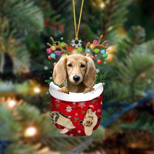 Cream Long Haired Dachshund-In Christmas Pocket Two Sides Ornament, Christmas Dog Hanging Ornament - Best gifts your whole family