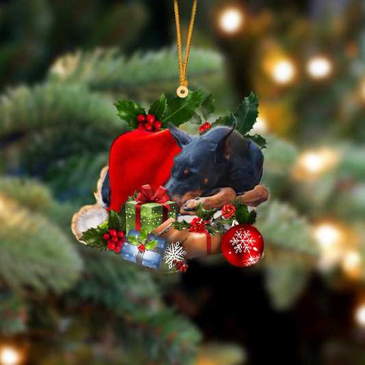 Doberman Pinscher-Sleeping In Hat Two Sides Ornament Dog Sleeping Ornament - Best gifts your whole family