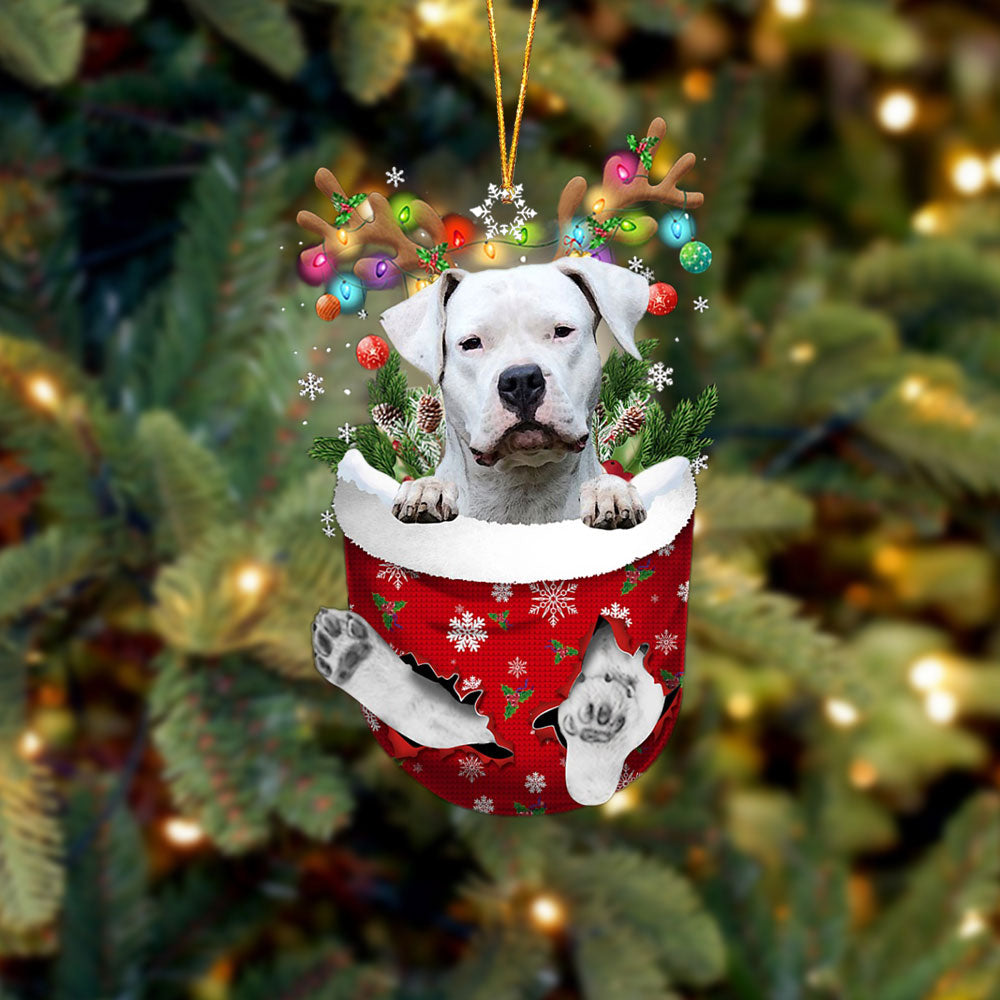Dogo Argentino In Snow Pocket Christmas Ornament Flat Acrylic Dog Ornament - Best gifts your whole family
