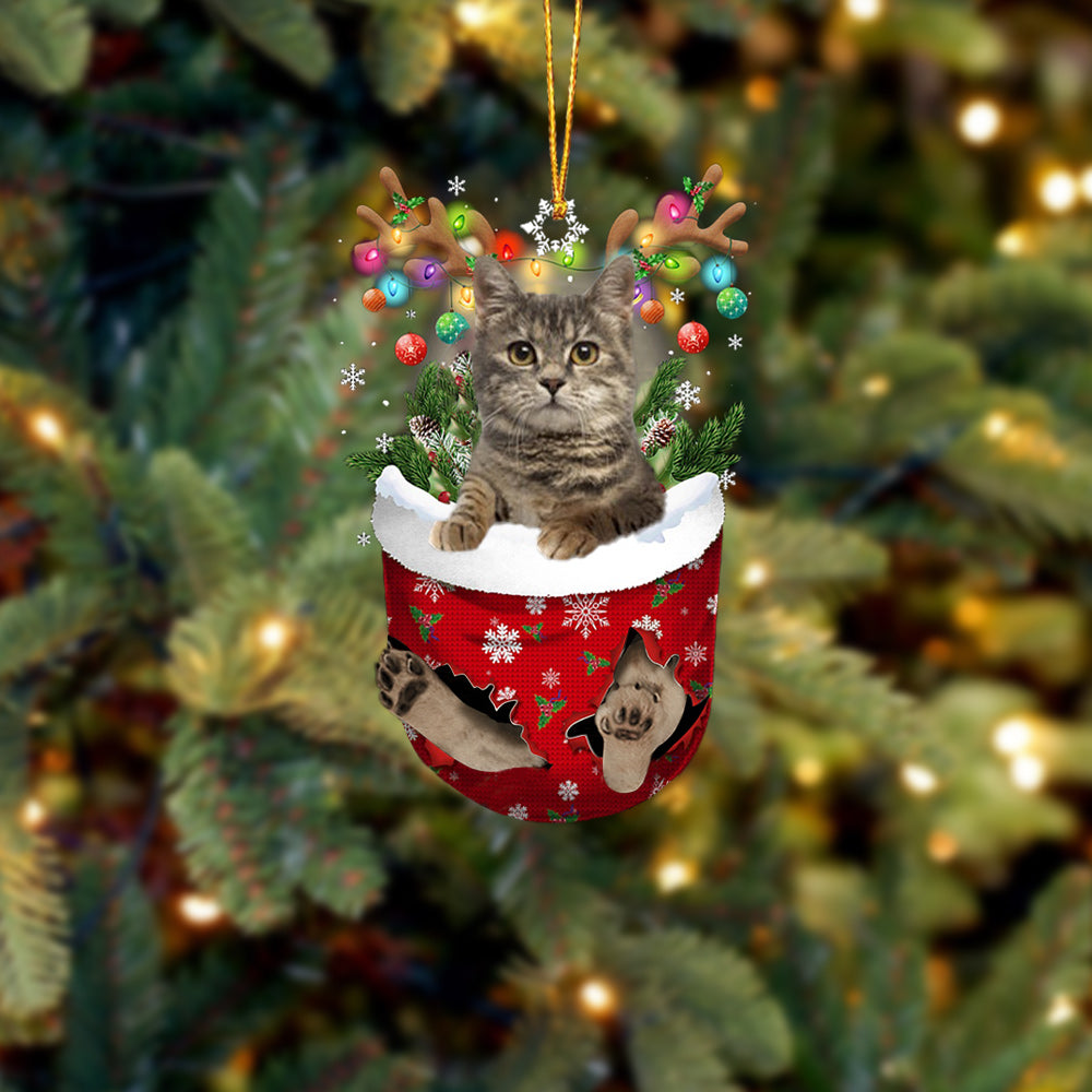 European Shorthair In Snow Pocket Christmas Ornament - Best gifts your whole family