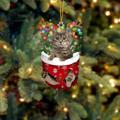 European Shorthair In Snow Pocket Christmas Ornament - Best gifts your whole family