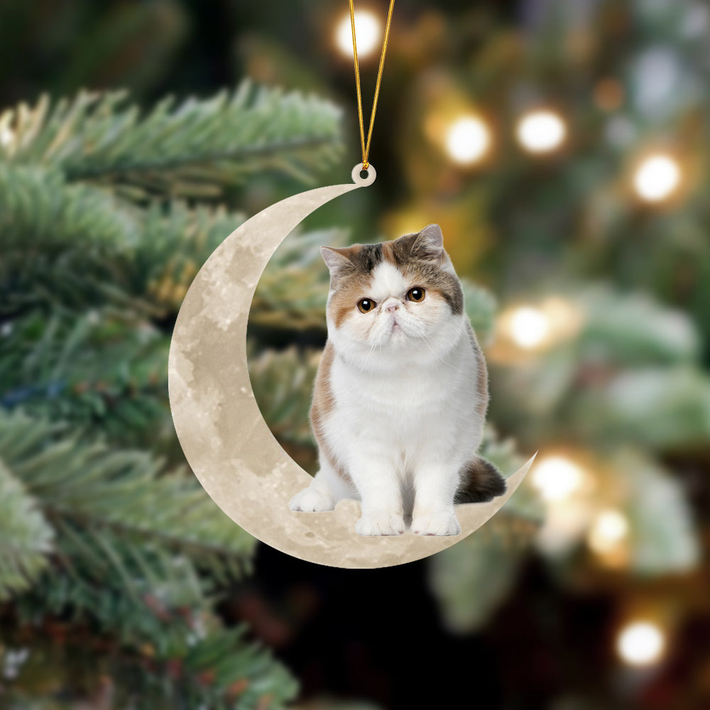 Exotic Shorthair Cat Sits On The Moon Hanging Ornament - Best gifts your whole family