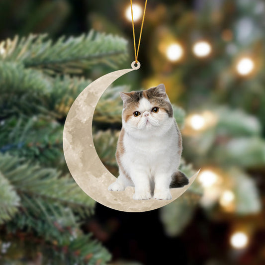 Exotic Shorthair Cat Sits On The Moon Hanging Ornament - Best gifts your whole family