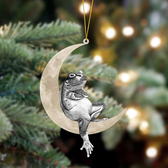 Frog Sits On The Moon Hanging Ornament, Animal Christmas Ornaments - Best gifts your whole family