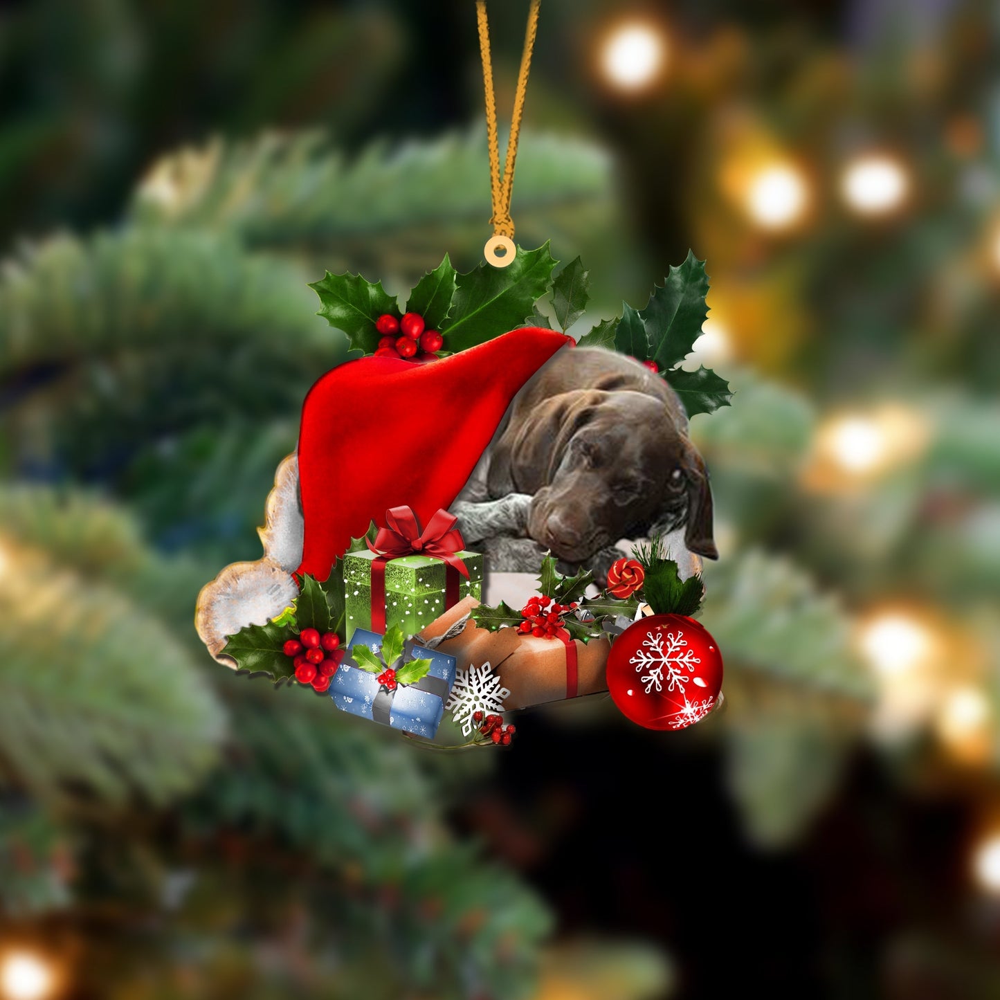 German Shorthaired Pointer-Sleeping In Hat Two Sides Ornament Dog Sleeping Ornament - Best gifts your whole family