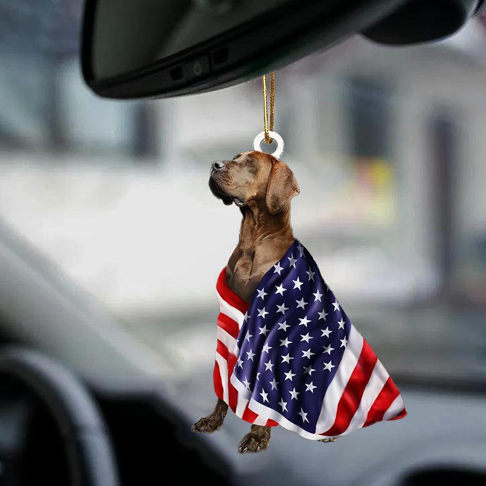 Great Dane American Patriot Flag Two Sided Ornament - Best gifts your whole family