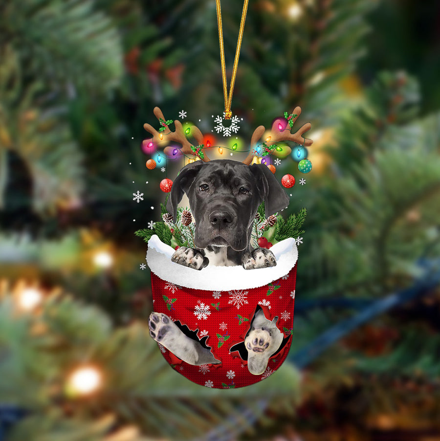 Great Dane-In Christmas Pocket Two Sides Ornament, Christmas Dog Hanging Ornament - Best gifts your whole family