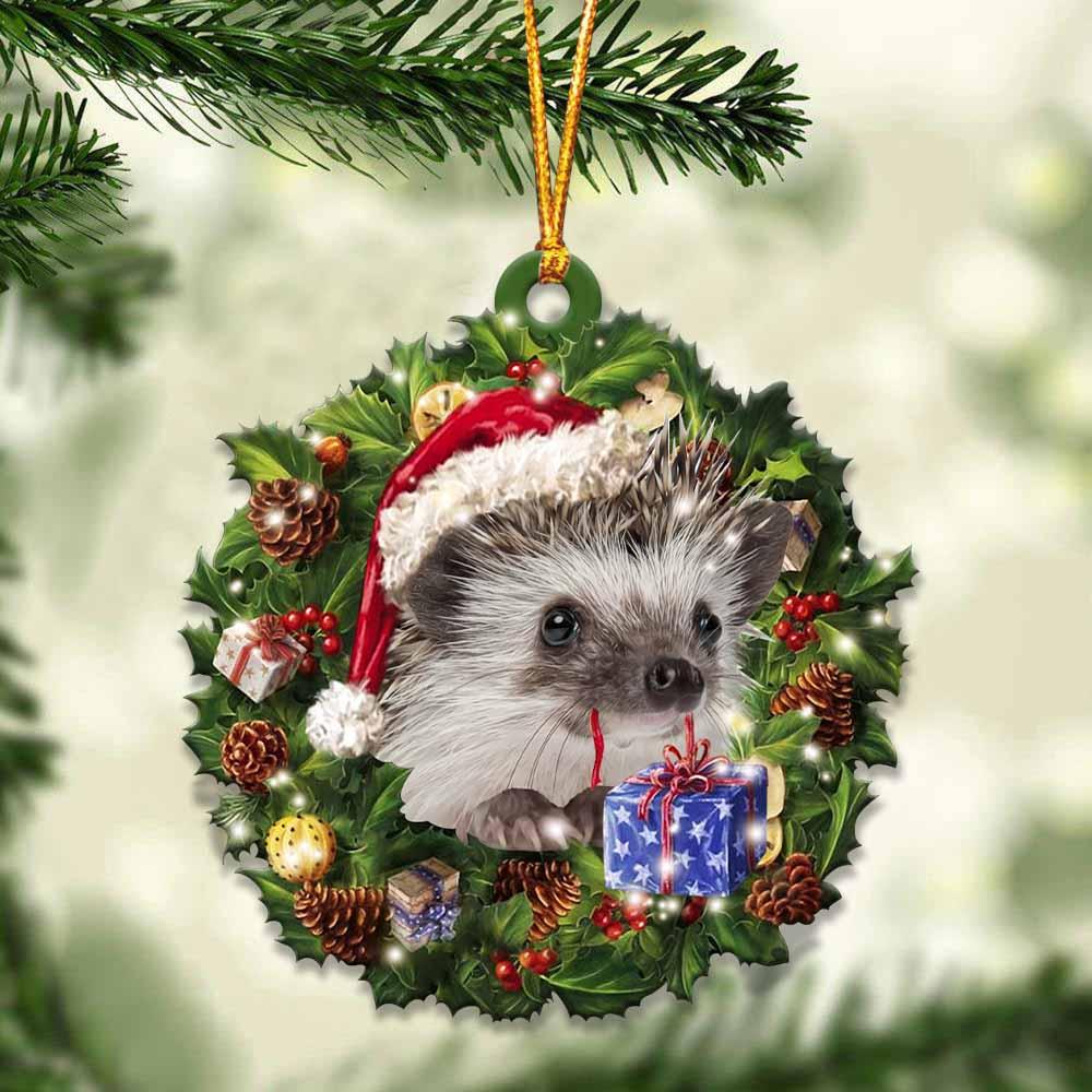 Hedgehog and Christmas gift for her gift for him gift for Hedgehog lover ornament, Christmas Ornament - Best gifts your whole family