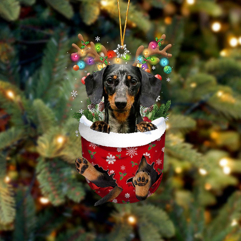 Personalized Dapple Dachshund In Snow Pocket Christmas Ornament, Dachshund First Christmas, Gift For Dog Mom, Dapple Dachshund Lover Dog.