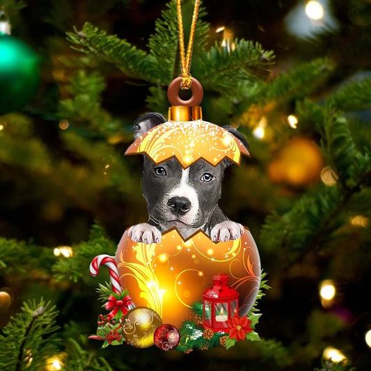 BLUE Nose Pitbull In Golden Egg Christmas Ornament, Dog Ornaments, Personalized Holiday Gifts Pitbull In Red House Cup Christmas Ornament