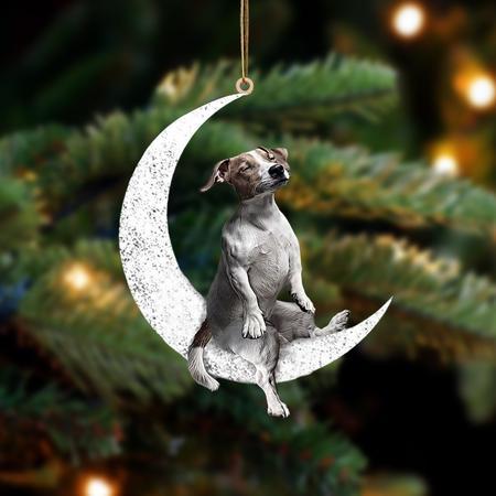 Jack Russell Terrier-Sit On The Moon-Two Sided Ornament - Best gifts your whole family