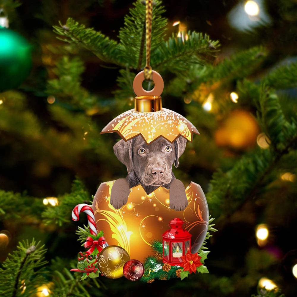 Labrador-Chocolate In Golden Egg Christmas Ornament - Best gifts your whole family