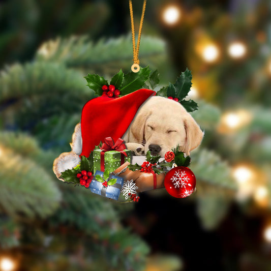 Labrador Retriever 2-Sleeping In Hat Two Sides Ornament Dog Sleeping Ornament - Best gifts your whole family