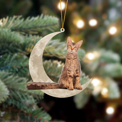 Laperm Cat Sits On The Moon Hanging Ornament Cat Christmas Acrylic Ornament - Best gifts your whole family