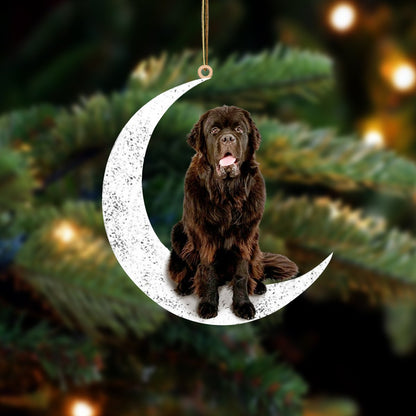 Newfoundland 2-Sit On The Moon-Two Sided Ornament - Best gifts your whole family