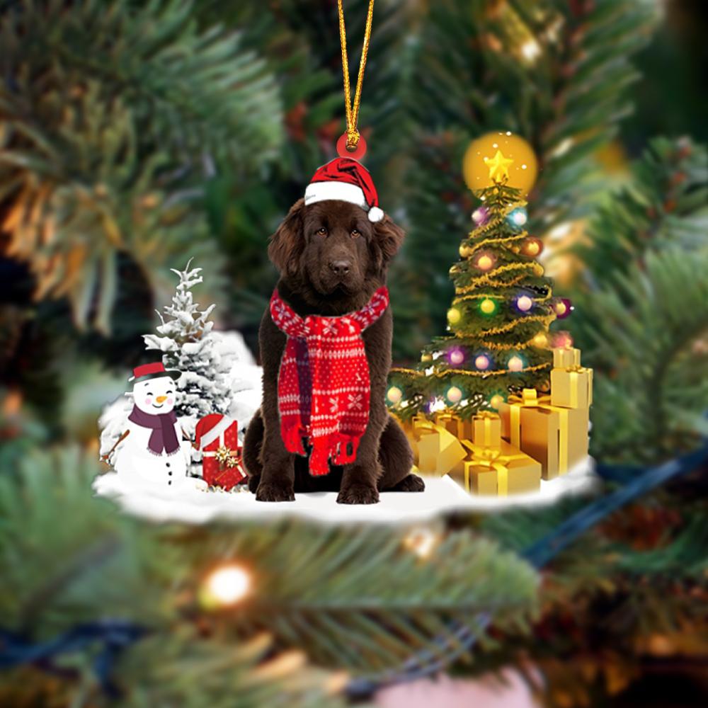Newfoundland Christmas Ornaments Christmas Tree Hanging Acrylic Ornament Gift - Best gifts your whole family