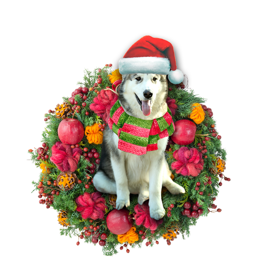 Ornament- Alaskan Malamute Christmas Ornament, Happy Christmas Ornament, Car Ornament - Best gifts your whole family