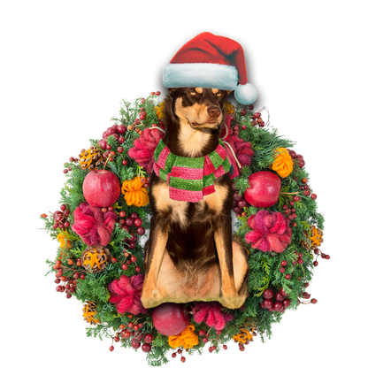 Ornament- Australian Kelpie Christmas Ornament, Happy Christmas Ornament, Car Ornament - Best gifts your whole family