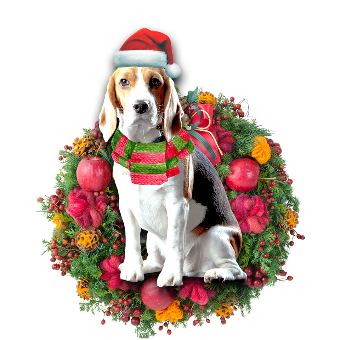 Ornament- Beagle Christmas Ornament, Happy Christmas Ornament, Car Ornament - Best gifts your whole family