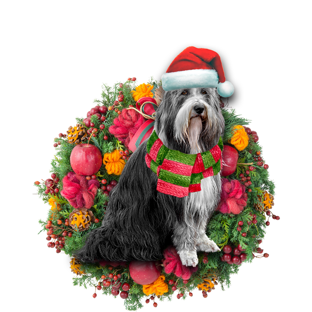 Ornament- Bearded Collie Christmas Ornament, Happy Christmas Ornament, Car Ornament - Best gifts your whole family
