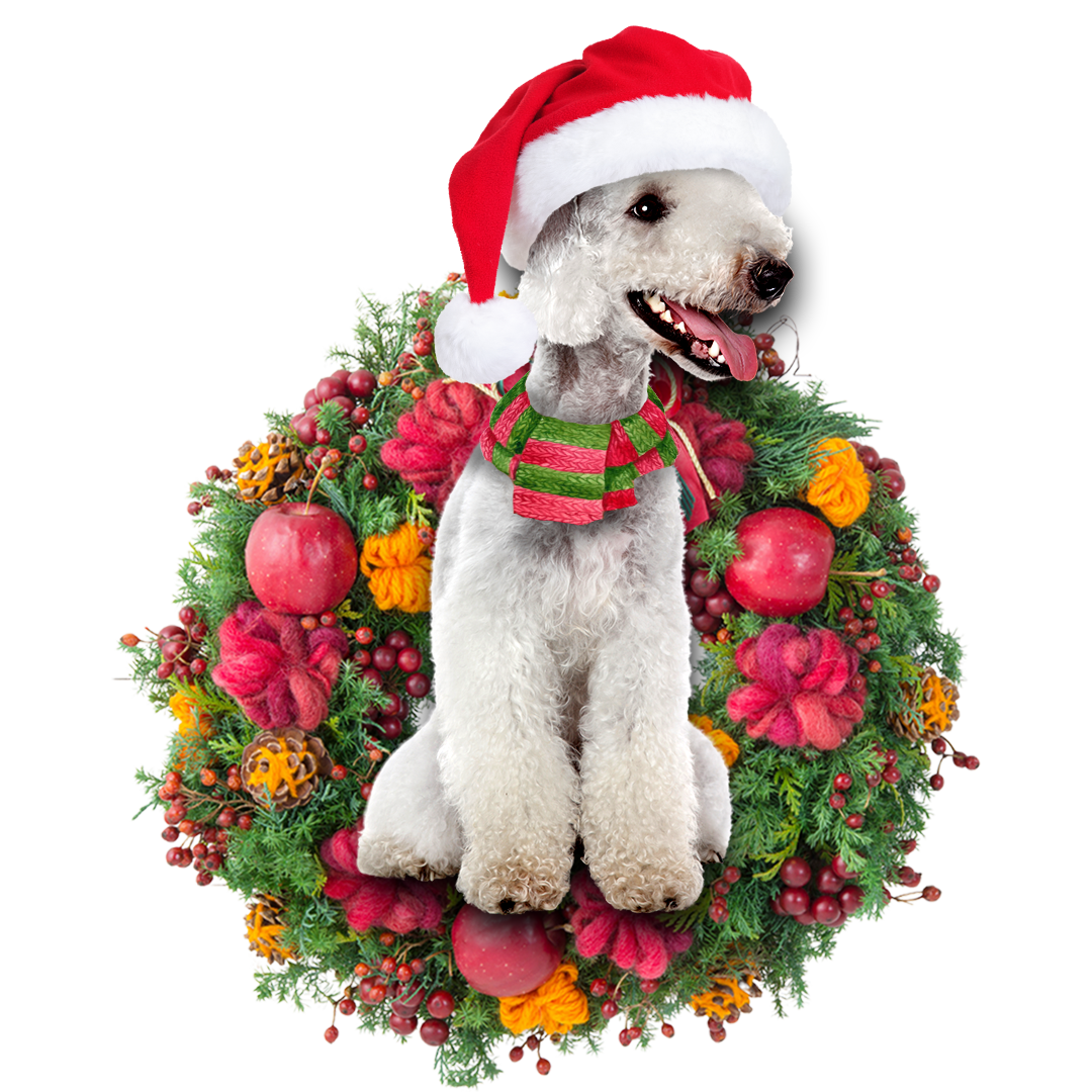 Ornament- Bedlington Christmas Ornament, Happy Christmas Ornament, Car Ornament - Best gifts your whole family