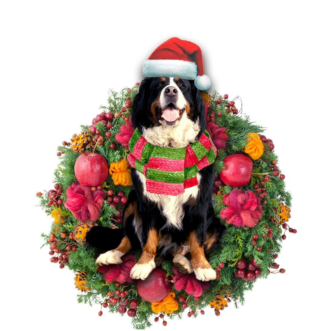 Ornament- Bernese Mountain Christmas Ornament, Happy Christmas Ornament, Car Ornament - Best gifts your whole family