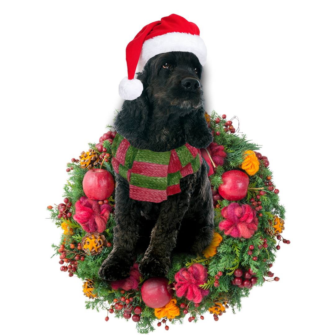Ornament- Black Cocker Spaniel Christmas Ornament, Happy Christmas Ornament, Car Ornament - Best gifts your whole family