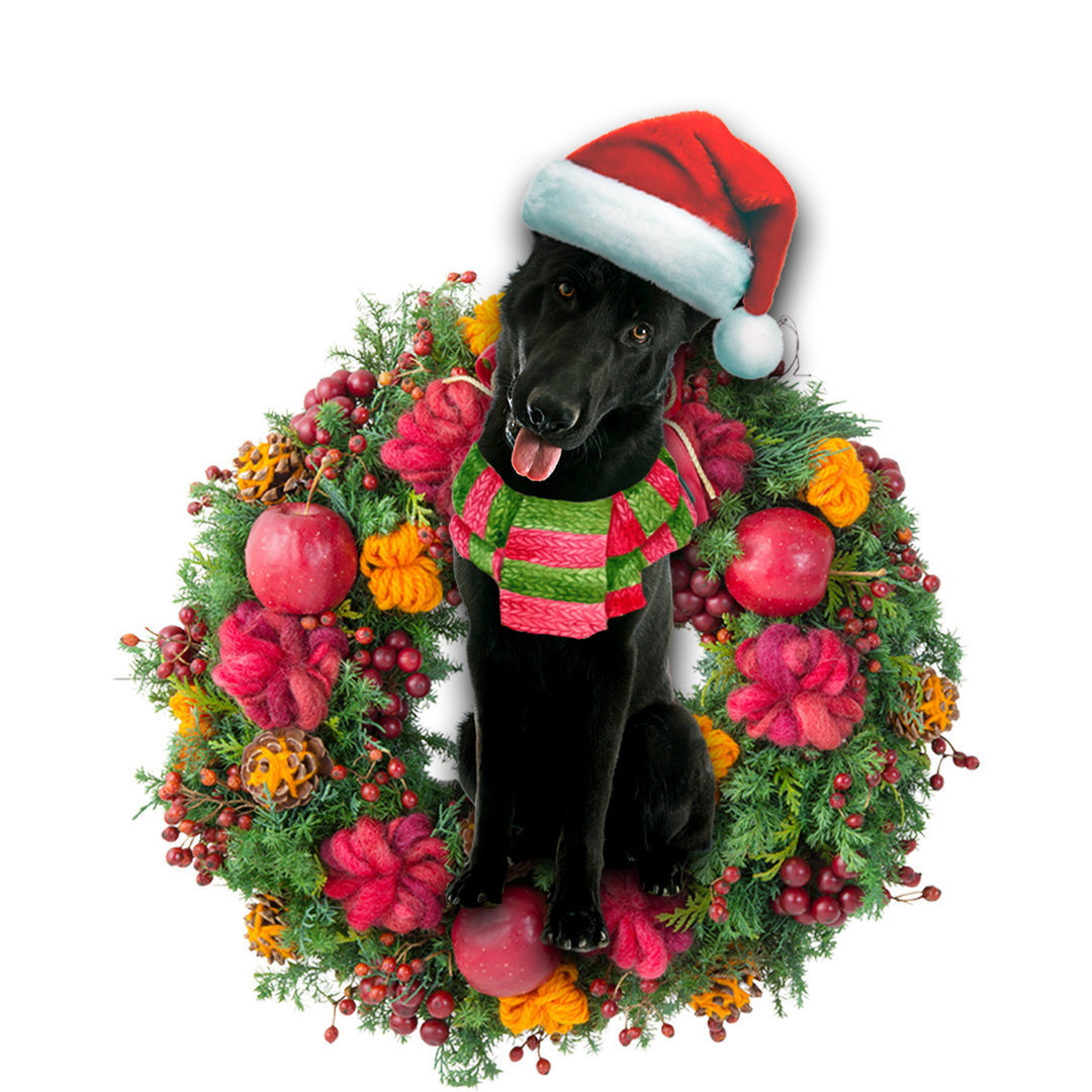 Ornament- Black German Shepherd Christmas Ornament, Happy Christmas Ornament, Car Ornament - Best gifts your whole family