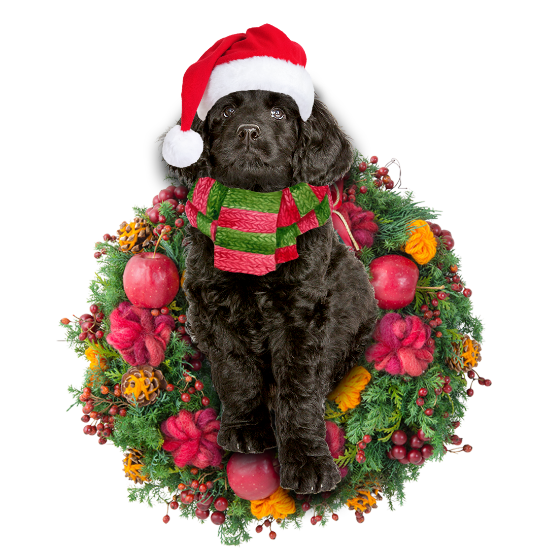 Ornament- Black Labradoodle Christmas Ornament, Happy Christmas Ornament, Car Ornament - Best gifts your whole family