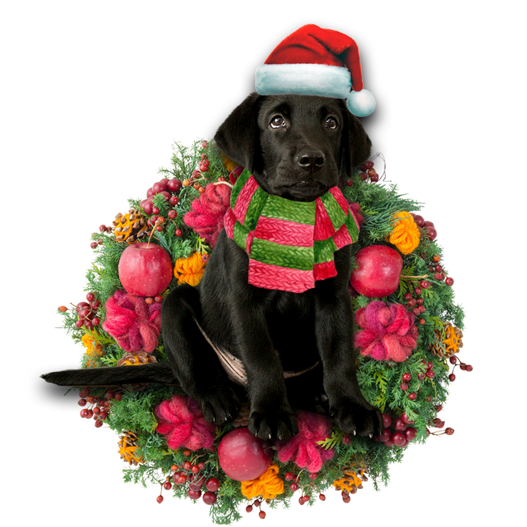 Ornament- Black Labrador Retriever Christmas Ornament, Happy Christmas Ornament, Car Ornament - Best gifts your whole family