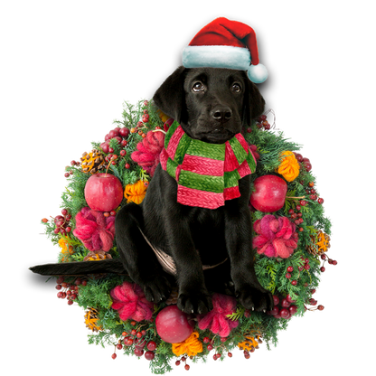 Ornament- Black Labrador Retriever Christmas Ornament, Happy Christmas Ornament, Car Ornament - Best gifts your whole family