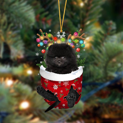 Ornament- BLACK Pomeranian-In Christmas Pocket Two Sides Ornament, Happy Christmas Ornament, Car Ornament - Best gifts your whole family
