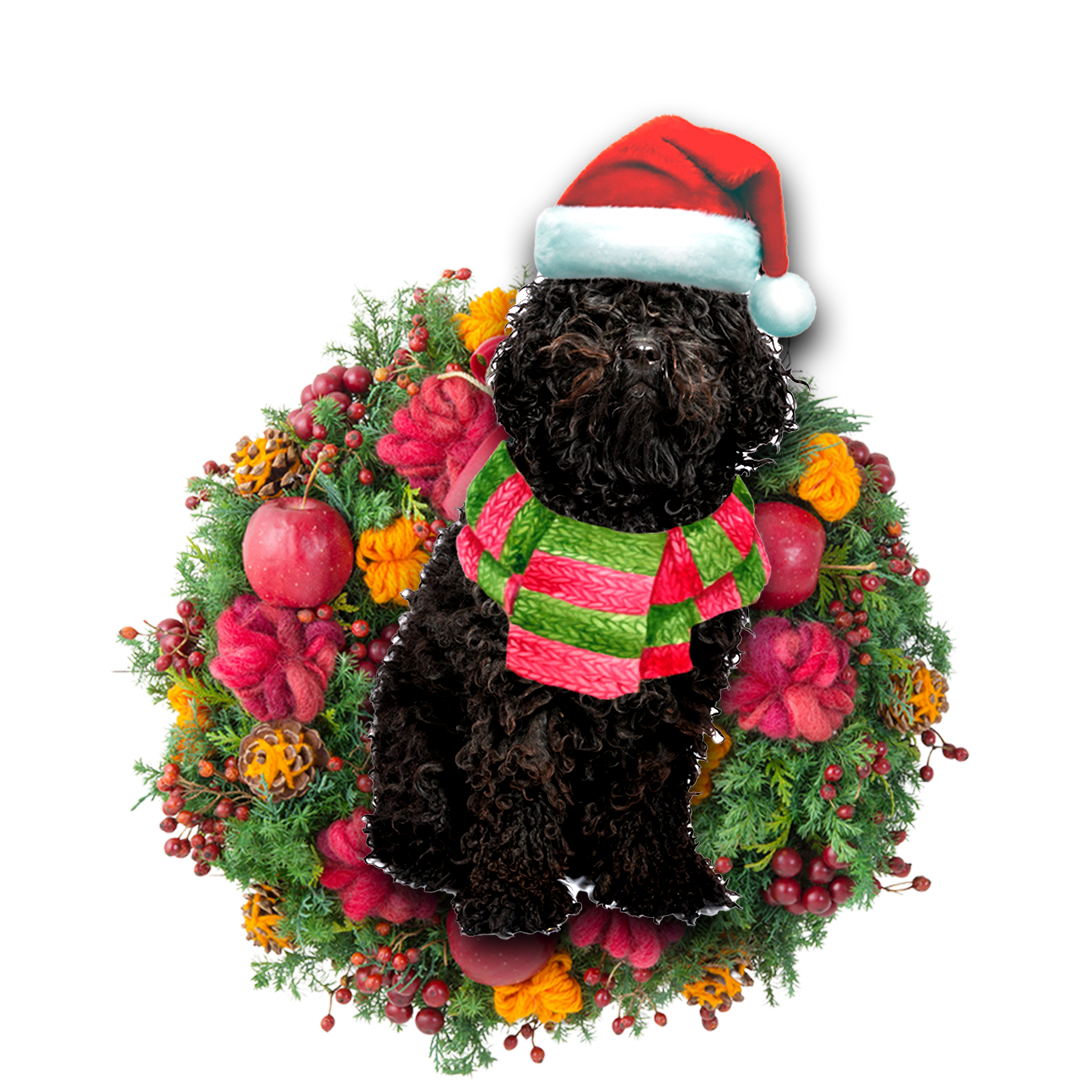 Ornament- Black Poodle Christmas Ornament, Happy Christmas Ornament, Car Ornament - Best gifts your whole family