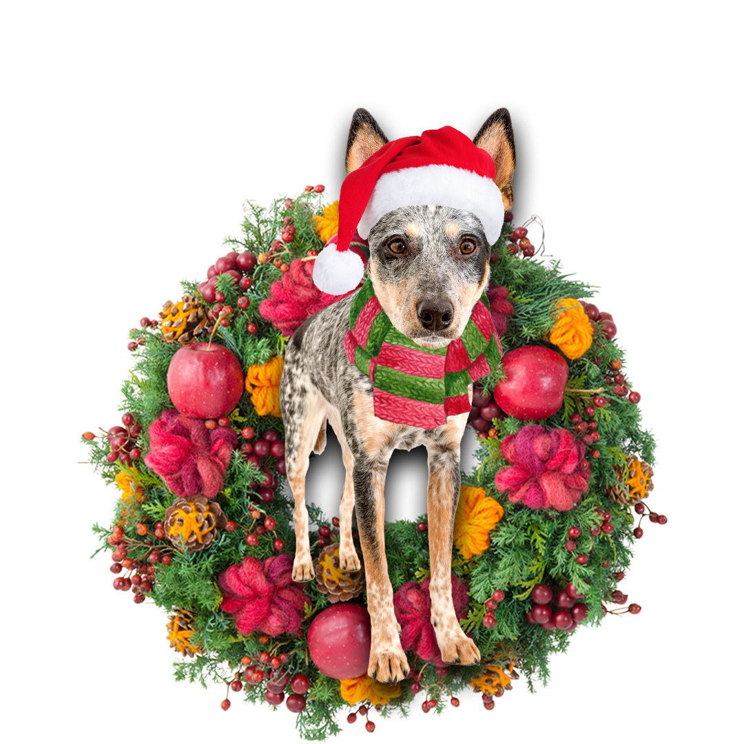 Ornament- Blue Heeler Christmas Ornament, Happy Christmas Ornament, Car Ornament - Best gifts your whole family
