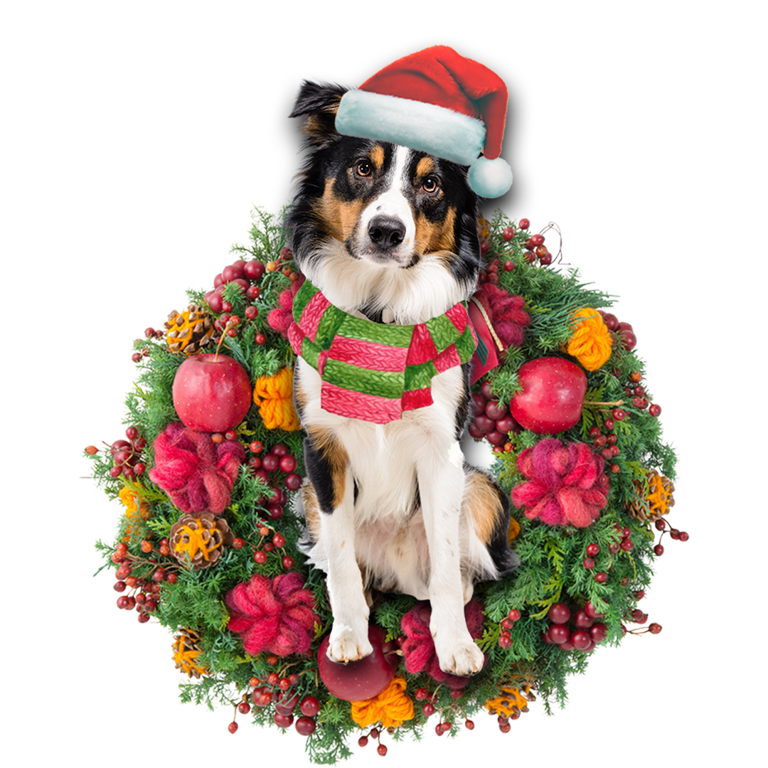 Ornament- Border Collie Christmas Ornament, Happy Christmas Ornament, Car Ornament - Best gifts your whole family